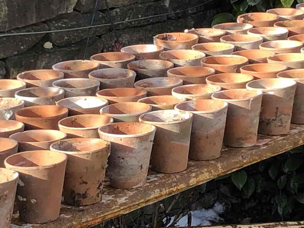 antique-terracotta-plant-pots