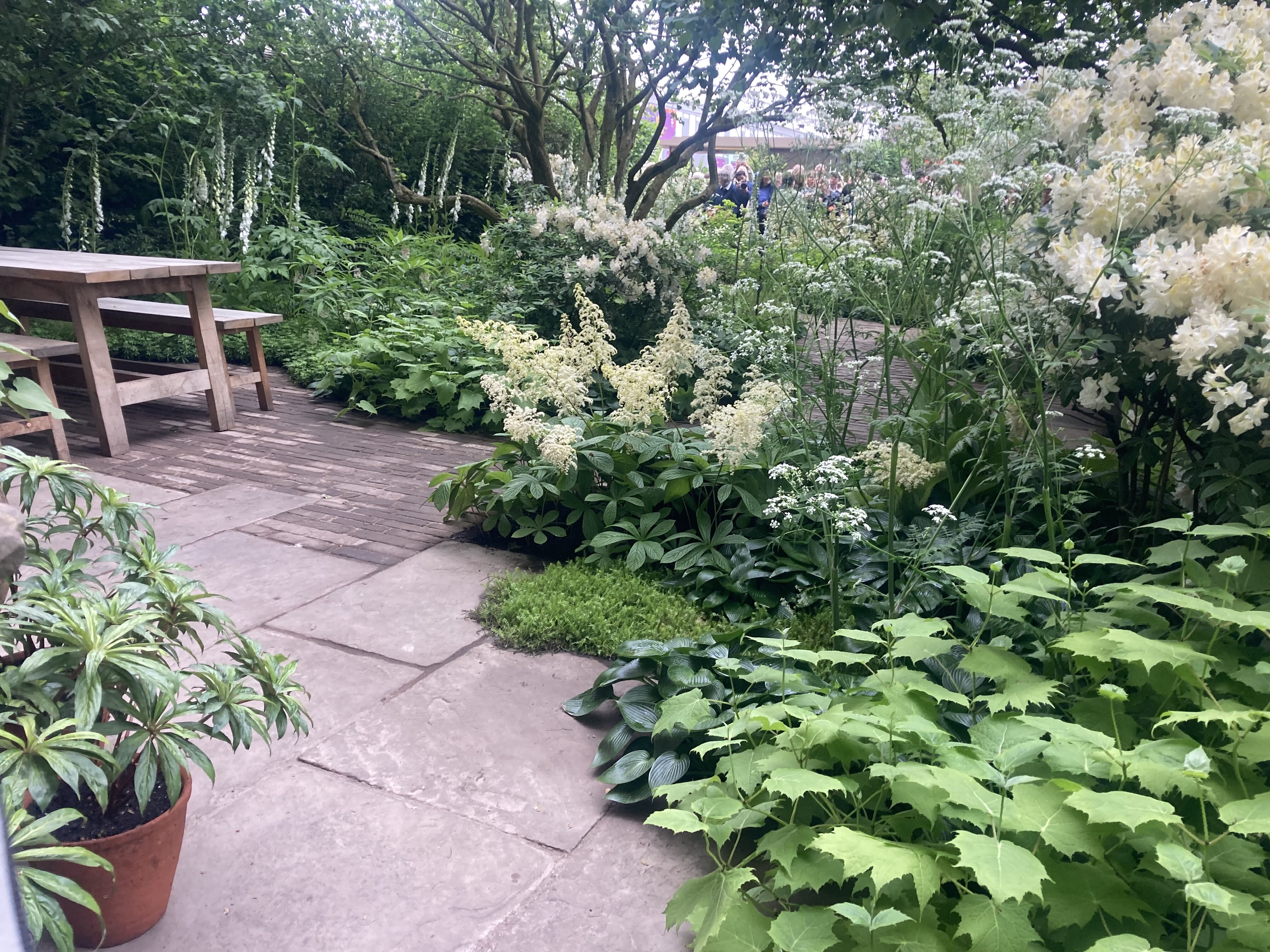 にゃんこスター 　SWEDESE Flower Table にゃんこスター SWEDESE Flower Table Introducing the special