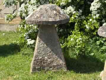 cotswold-staddlestone